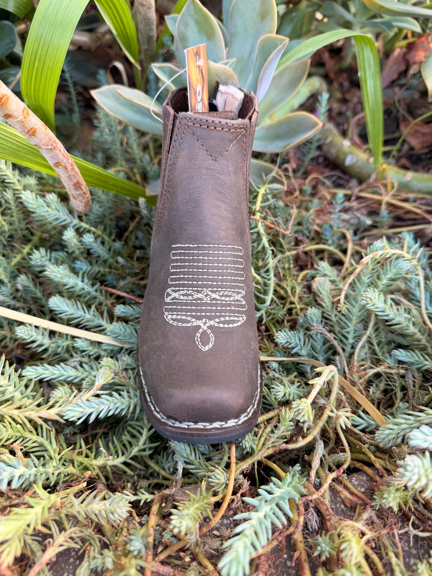 Potrillo Infant Botin Chocolate