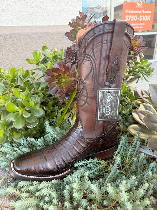 Cuadra Men CU456 Caiman Belly Paris Cafe Square
