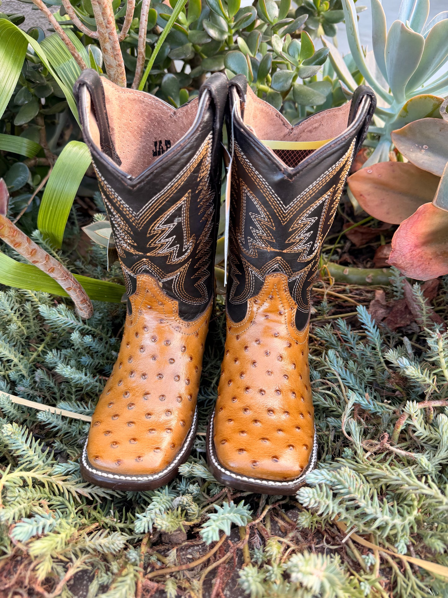 JAR Boots Kids Ostrich Print Honey