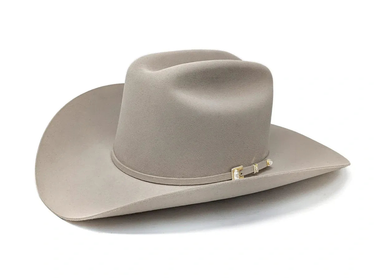 Stetson Guadalupana 6x Felt Hat Silverbelly
