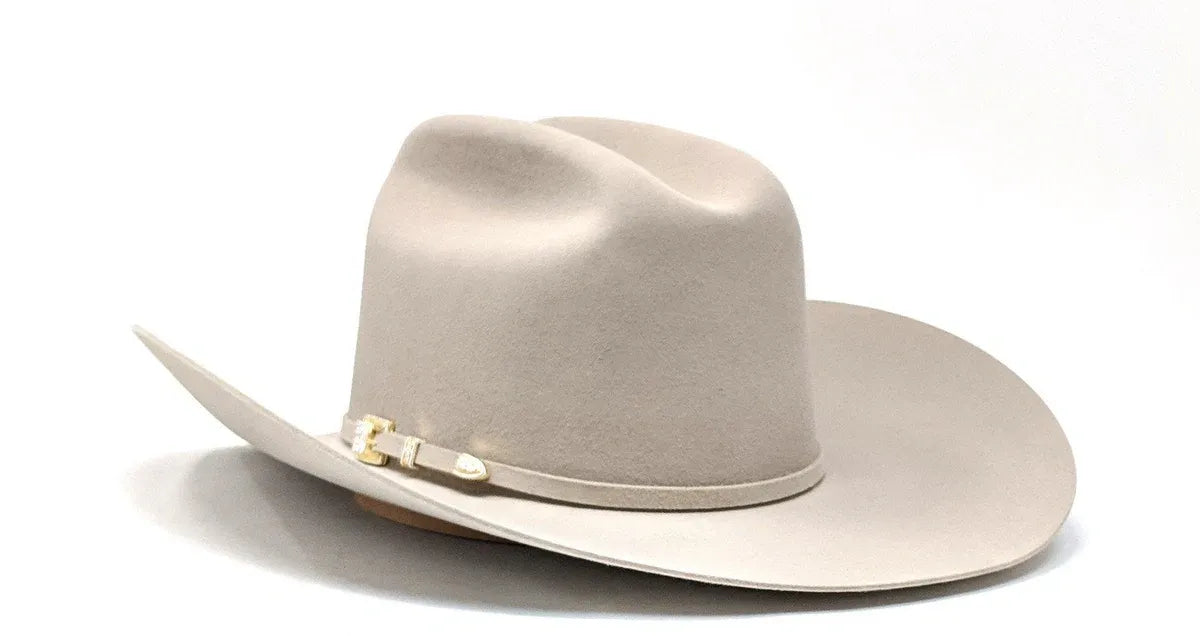 Stetson Guadalupana 6x Felt Hat Silverbelly