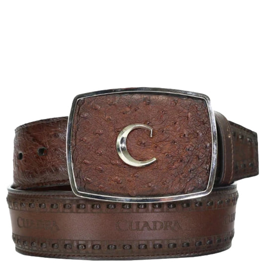 Cuadra Belt BC278 Avestruz Moroni Chestnut Brown