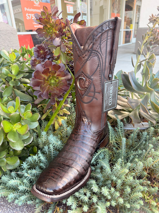Cuadra Men CU456 Caiman Belly Paris Cafe Square