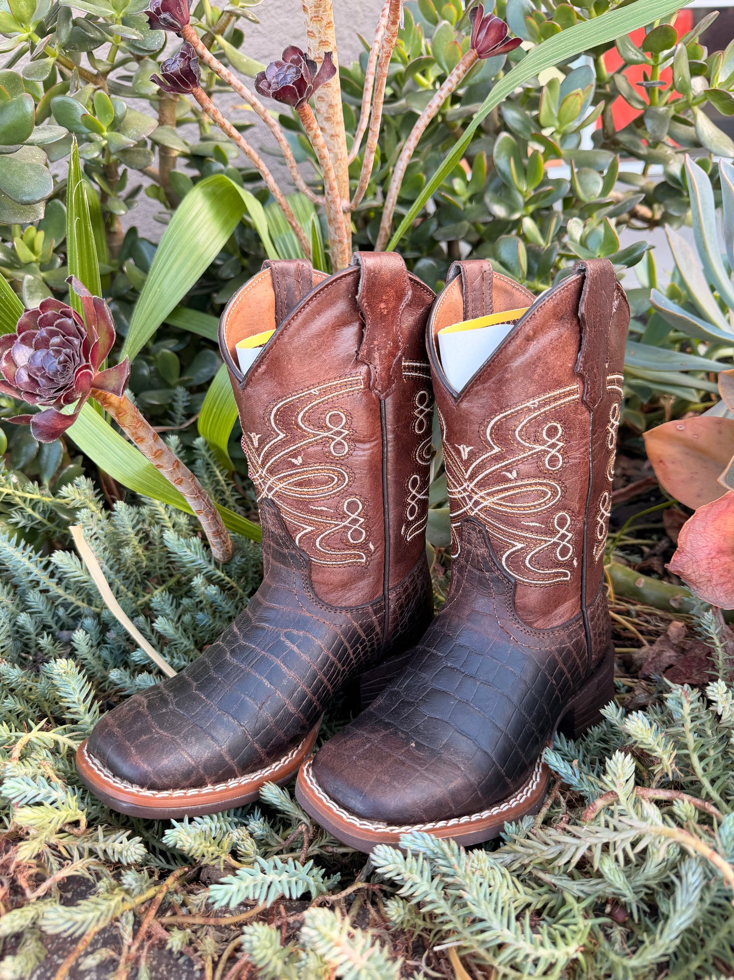 JAR Boots Kids Croc Print Brown