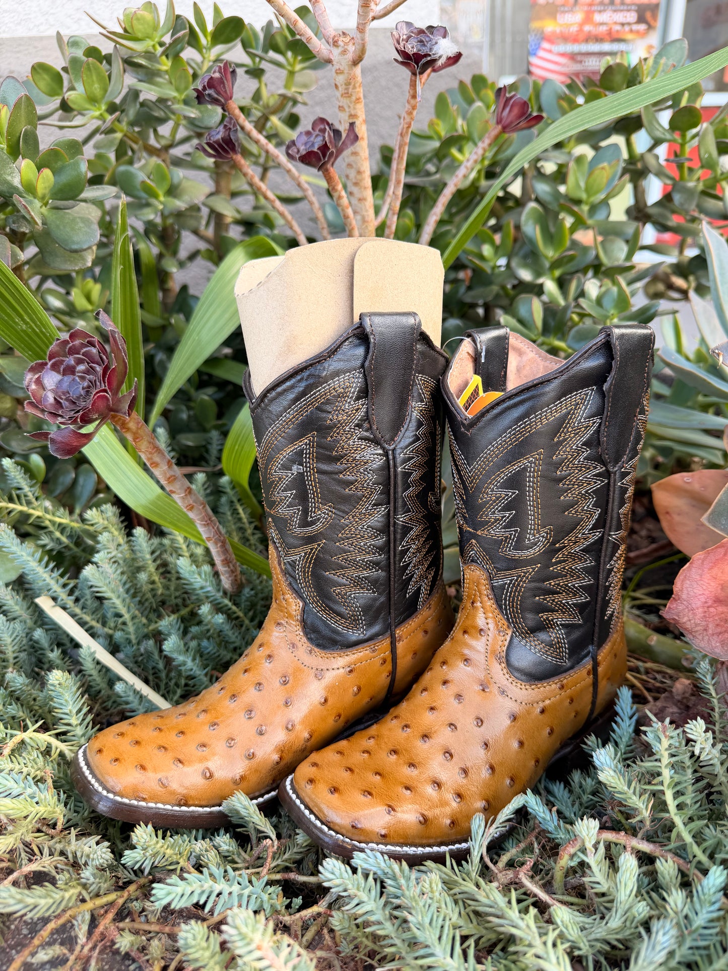 JAR Boots Kids Ostrich Print Honey