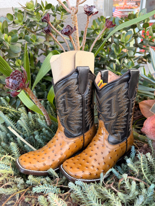 JAR Boots Kids Ostrich Print Honey