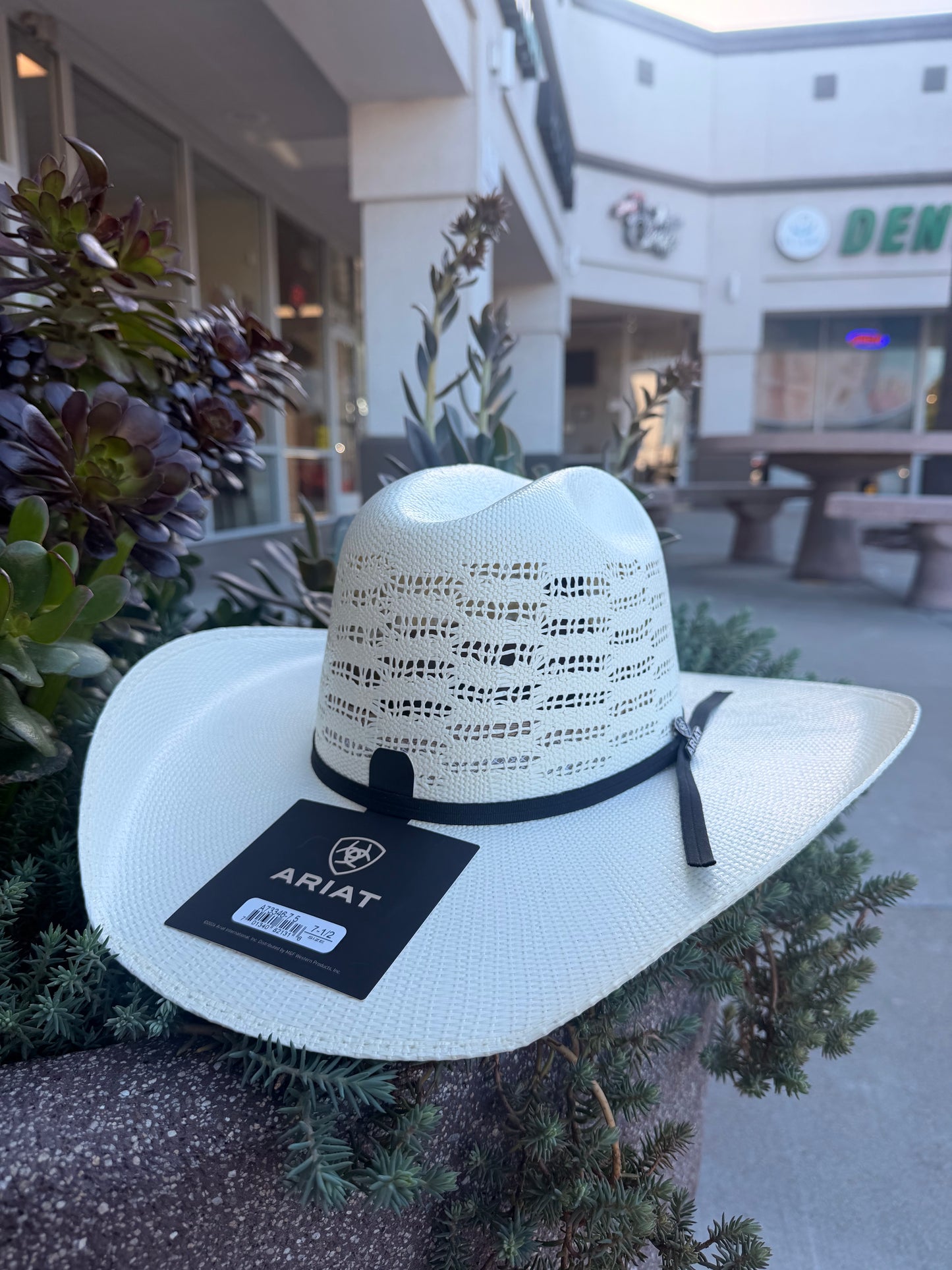 Ariat Straw Hat A73346 Bangora