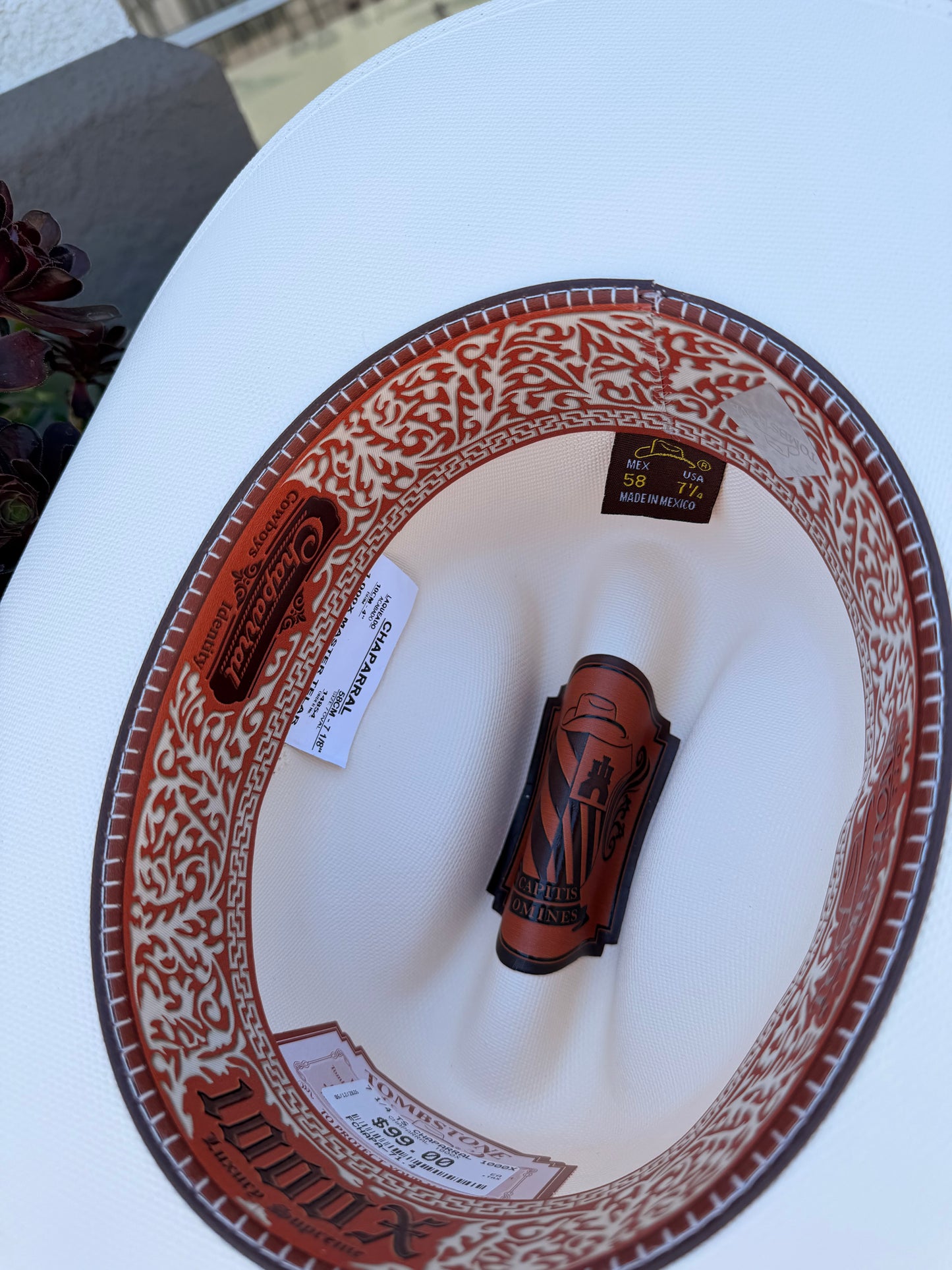 Tombstone Sombrero 1,000X Chaparral Ala 4'