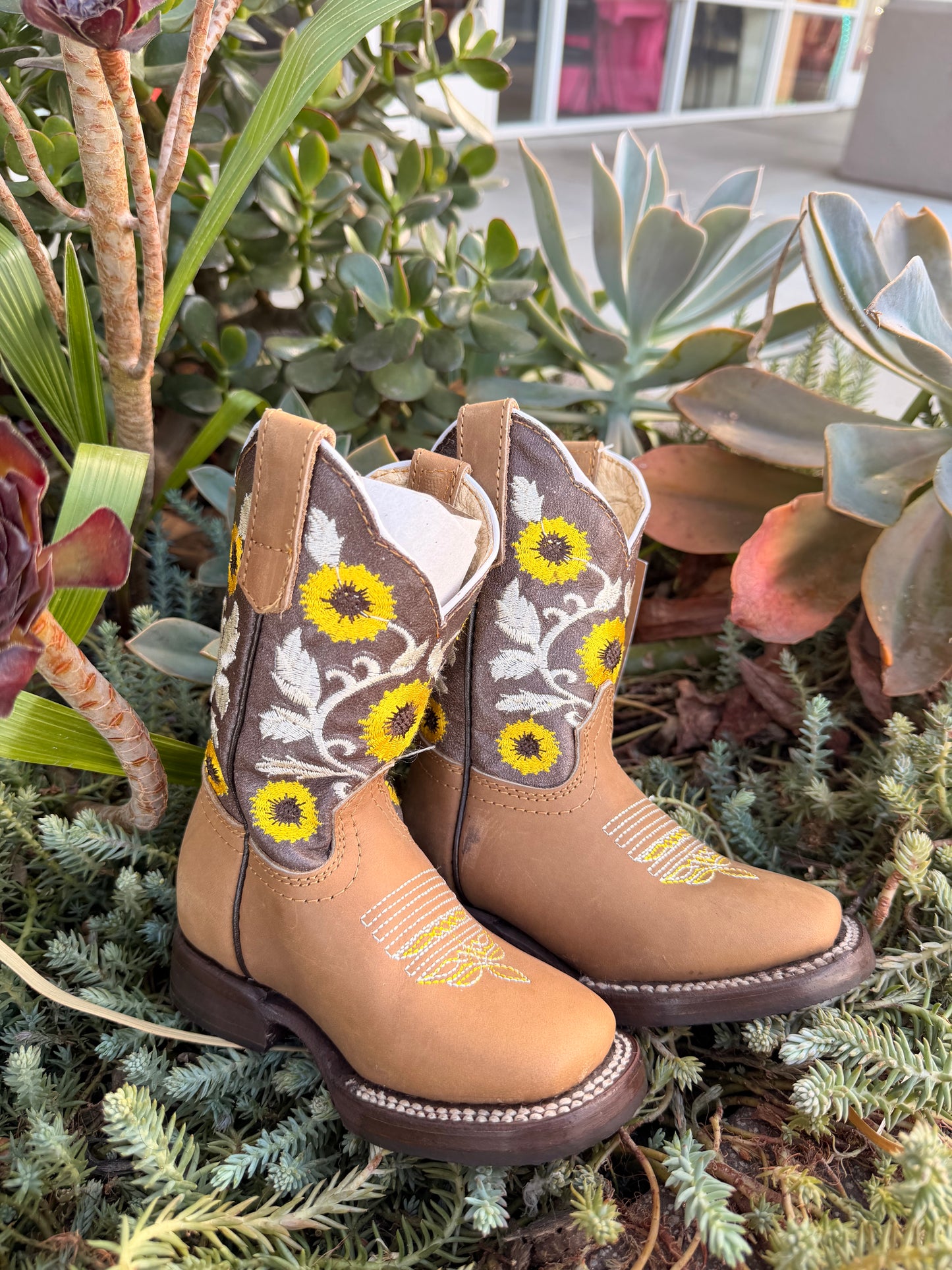 Potrillo Kids Sunflower Cajeta