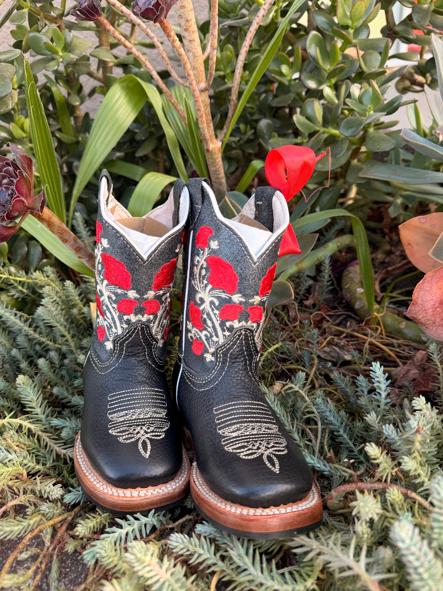 Potrillo Kids Black Roses