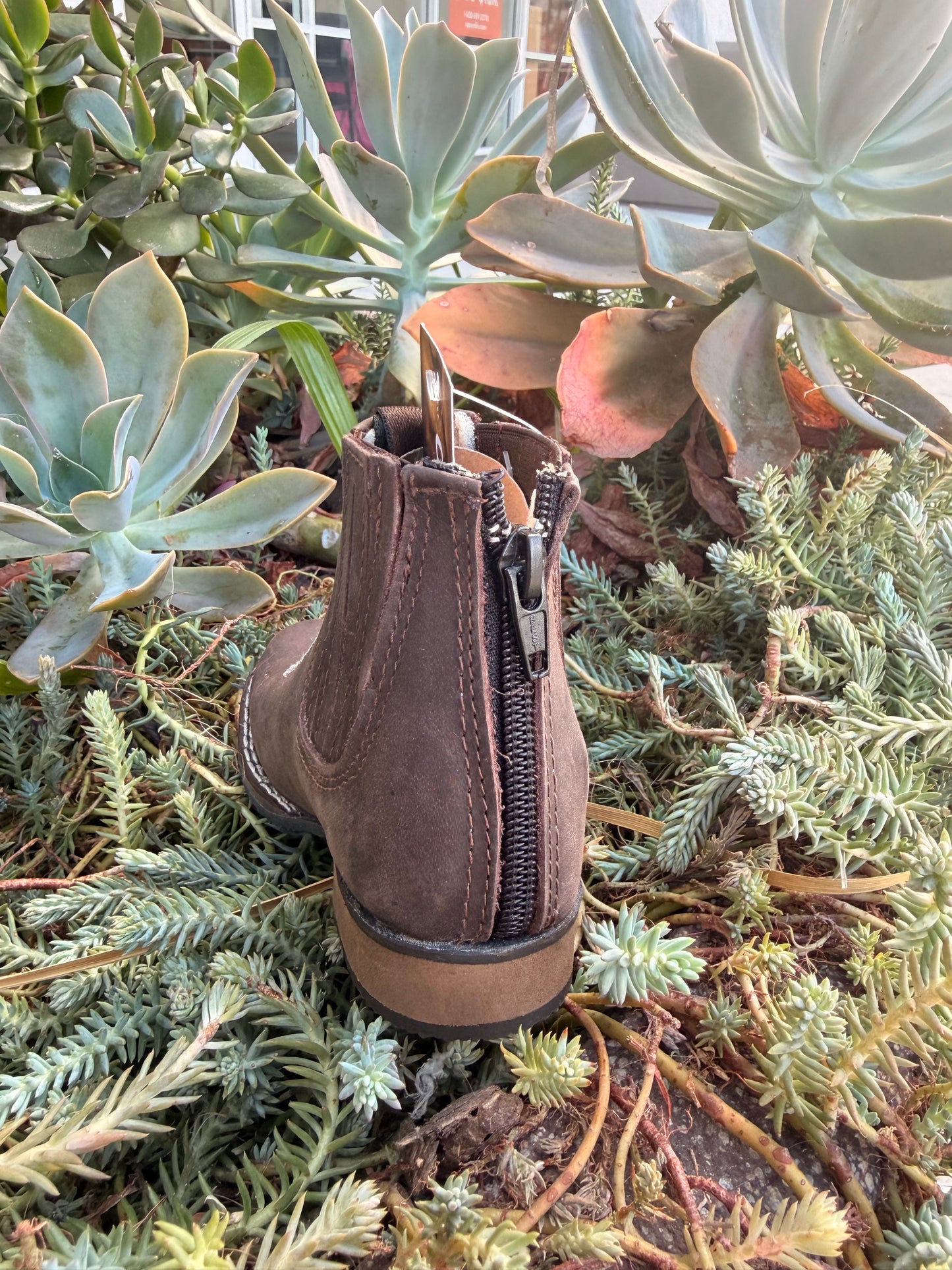 Potrillo Infant Botin Chocolate