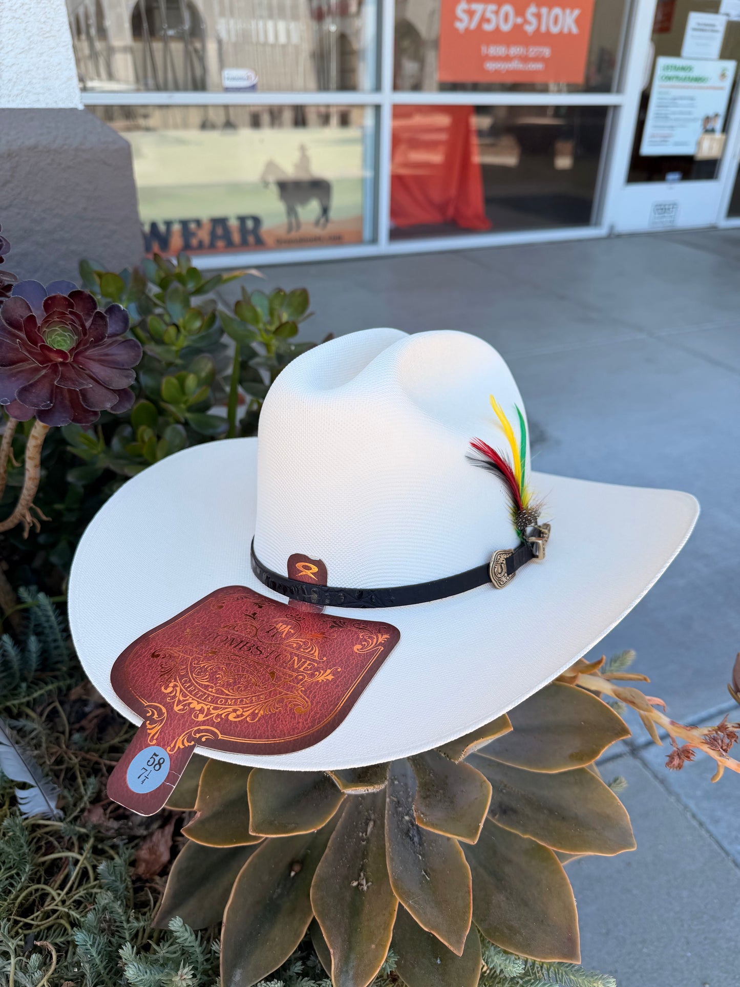 Tombstone Sombrero 1,000X Chaparral Ala 4'