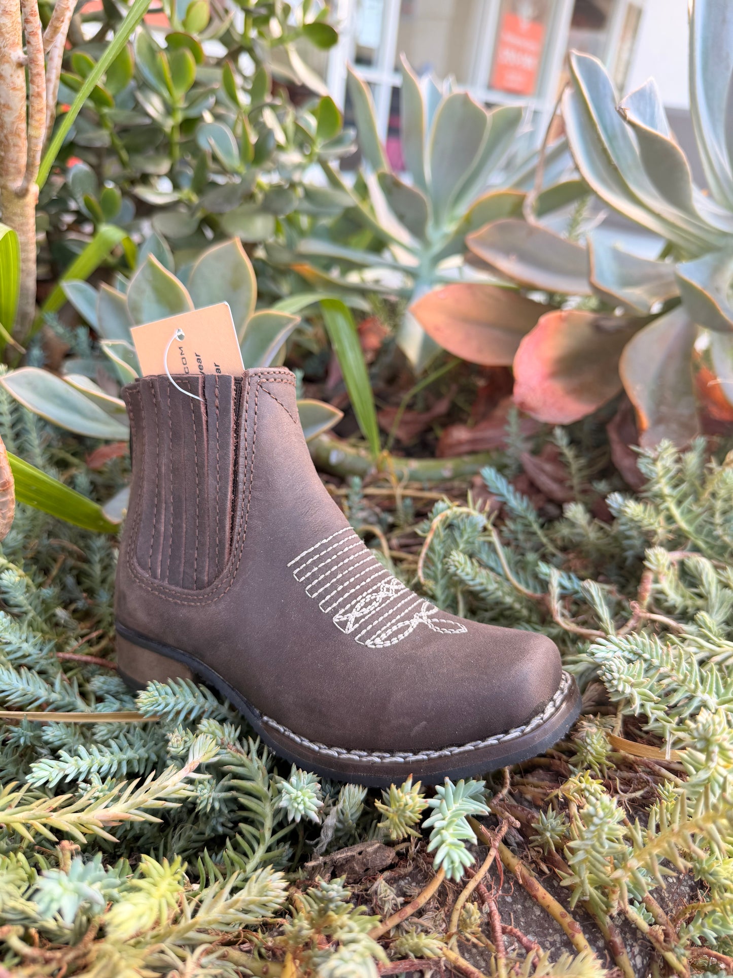 Potrillo Infant Botin Chocolate